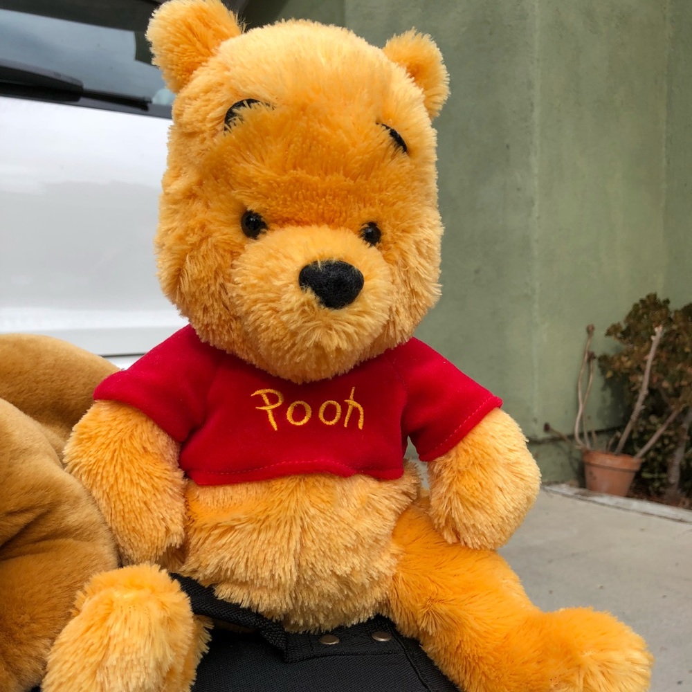 Pooh bear disney